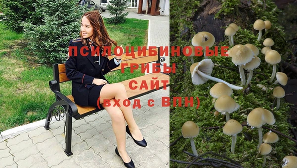 а пвп мука Абдулино