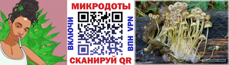 как найти закладки  Белый  Псилоцибиновые грибы прущие грибы 